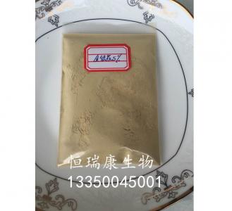 PZ機閘一體式鑄鐵閘門